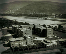 Boom der Institute (1931)