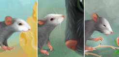The facial expression of a mouse reveals its feelings, providing a possibility for researchers to study the underlying neuronal mechanisms of emotions.