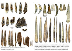 Persönliche Schmuckgegenstände und Knochenwerkzeuge aus der Bacho-Kiro-Höhle in Bulgarien (links) und aus der Grotte du Renne in Frankreich (rechts). Die Artefakte aus der Bacho-Kiro-Höhle werden dem Homo sapiens zugeschrieben und auf ein Alter von etwa 45.000 Jahre datiert. Die Artefakte aus der Grotte du Renne werden den Neandertalern zugeschrieben und sind nicht ganz so alt.