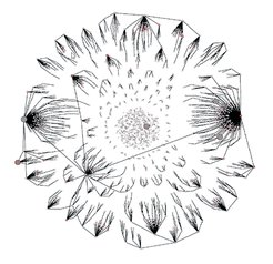 radial angeordnete Punkte sind teils mit Linien zu einem Netzwerk verbunden