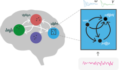 Illustration des Gehirns mit farbigen Symbolen, die neuronale Netzwerke darstellen, verbunden durch Pfeile. Rechts ein vergrößertes Diagramm mit Wellenformen.